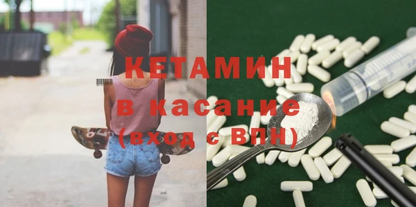 сатива Иннополис
