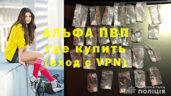сатива Иннополис