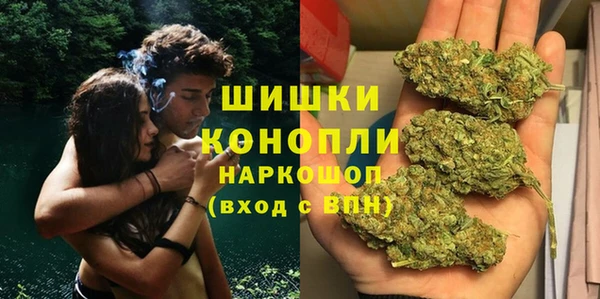 сатива Иннополис