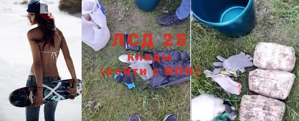 сатива Иннополис