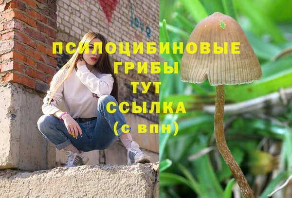 сатива Иннополис