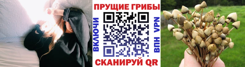 OMG вход  цена наркотик  Клин  Галлюциногенные грибы ЛСД 