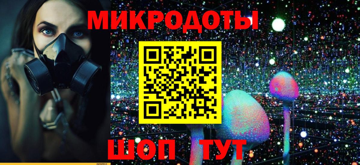 Галлюциногенные грибы Psilocybine cubensis Клин