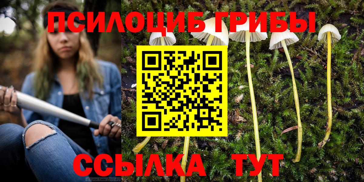 Псилоцибиновые грибы Psilocybine cubensis  Вход с VPN  Клин  Псилоцибиновые грибы Psilocybe 